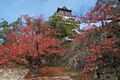 Thumbnail for version as of 19:06, 4 November 2019
