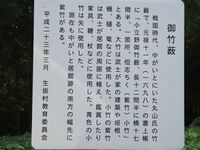 IMG 4890.JPG