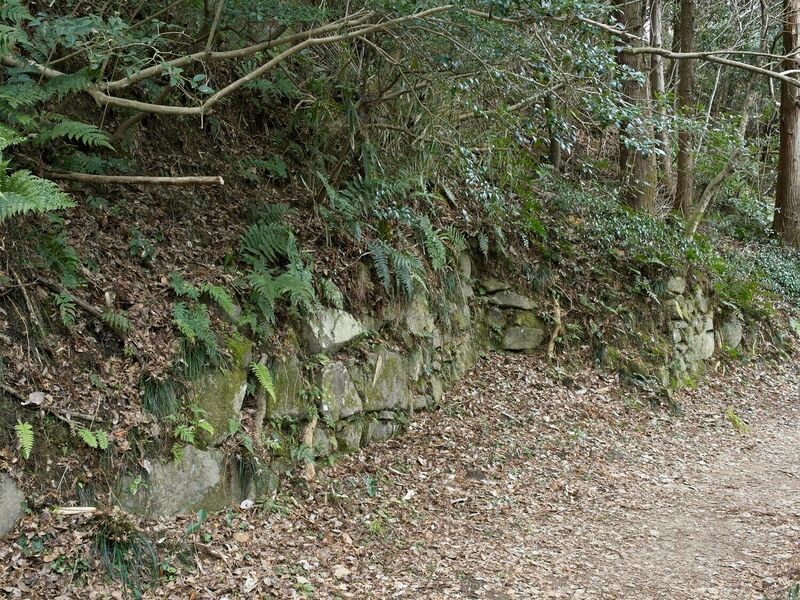 File:Iimori16.jpg