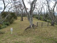 Iwakiri15.jpg