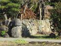 KakuhariYashiki (3).JPG