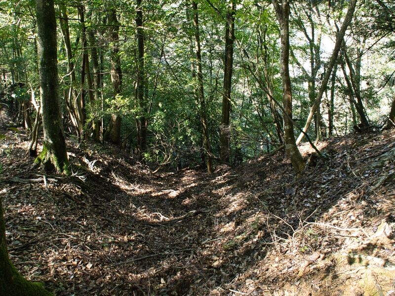 File:Kogaminekyoto4.jpg