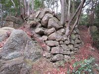 Kozutsumijou (1).JPG