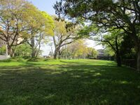 Matsubarajou (13).jpg