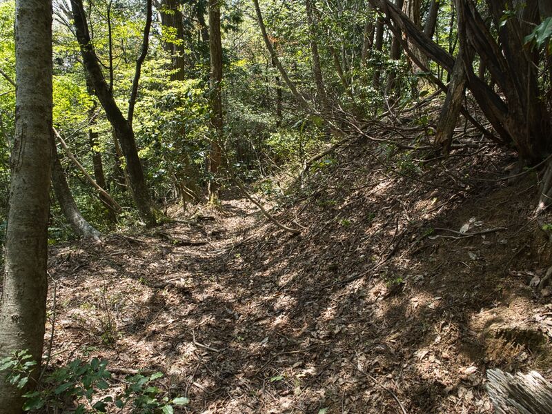 File:Nakataniyama12.jpg