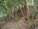 Okudanitanba20.jpg