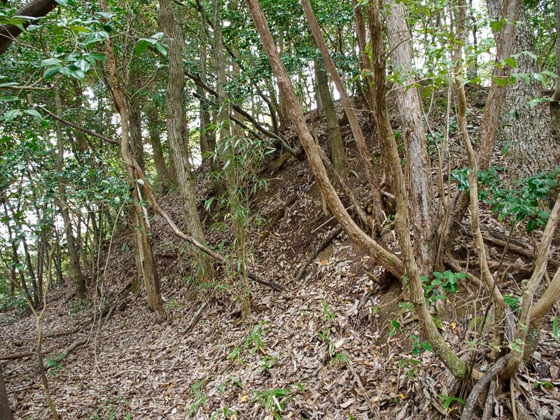 File:Okudanitanba20.jpg