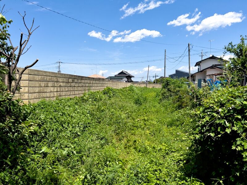 File:Ashikagamasauji7.jpg