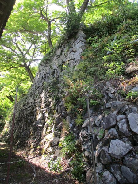 File:GaryuuzanjouA (43).jpg