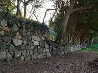 Hagicastle10.jpg