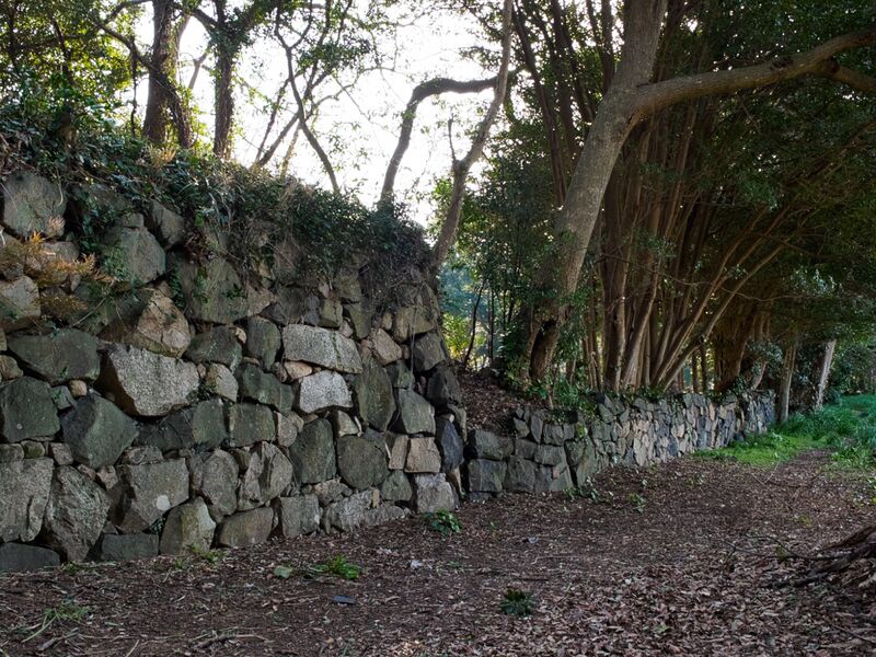 File:Hagicastle10.jpg