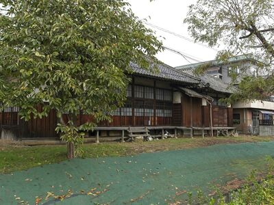 Hankohikone5.jpg