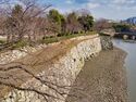 Himeji141.jpg