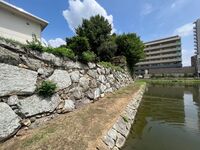 Himejimiddlemoat8.jpg