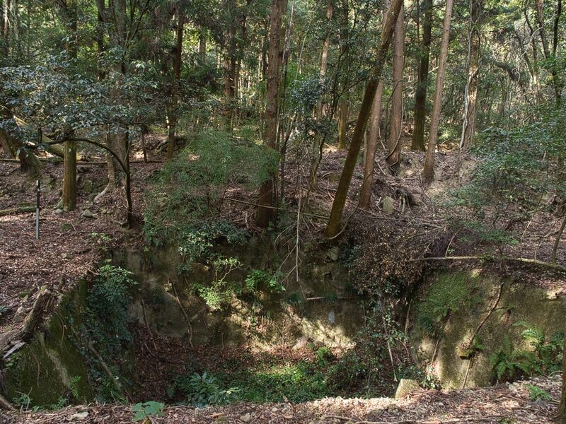 File:Kohyama26.jpg