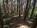 Kokashingushi19.jpg
