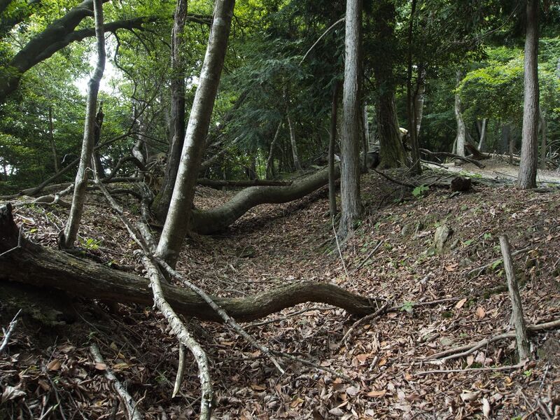 File:Nyoigatake36.jpg