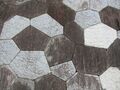 Thumbnail for version as of 08:12, 5 December 2023