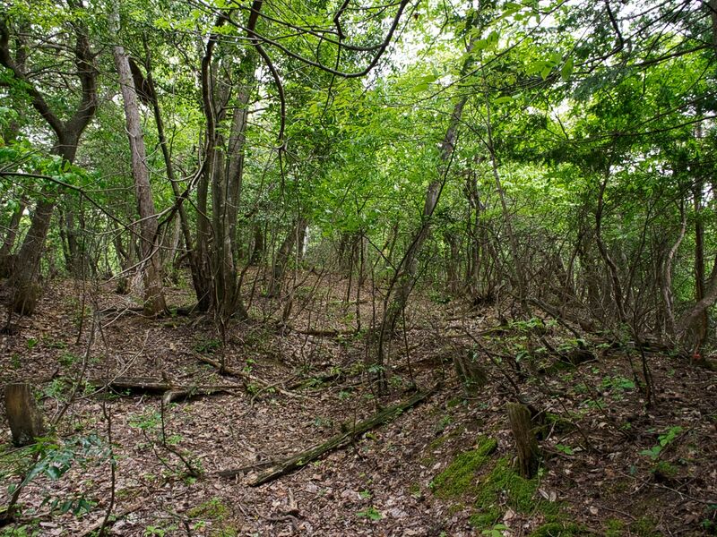 File:Tabeyama20.jpg