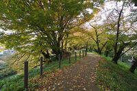 Yamagata20.jpg