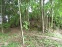 BingoKouyamajou (6).JPG