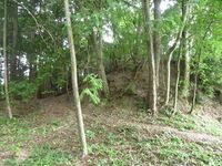 BingoKouyamajou (6).JPG