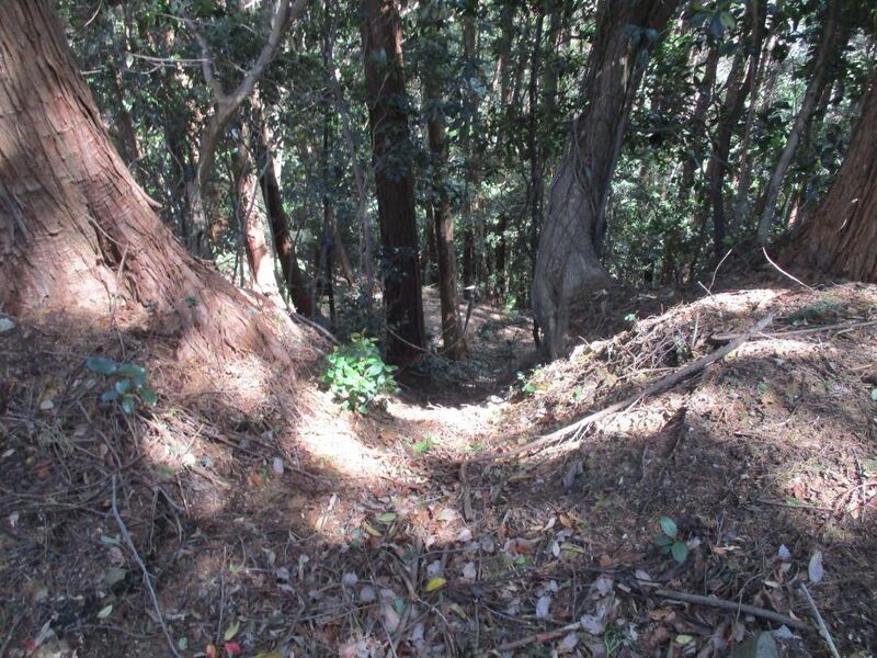 File:Ganryakujijou (67).jpg