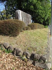 MikawaMutsunajou (22).JPG