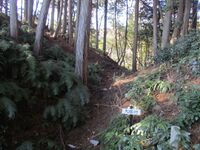 Nemotojou (2).jpg
