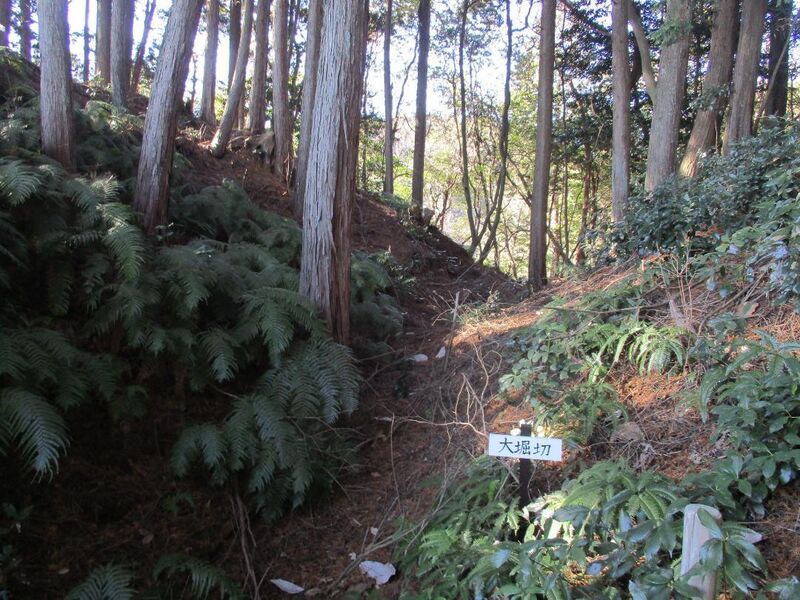 File:Nemotojou (2).jpg
