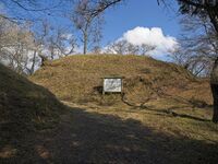 Ogawakoka7.jpg
