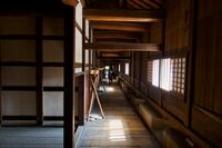 Osaka tamonyagura11.jpg