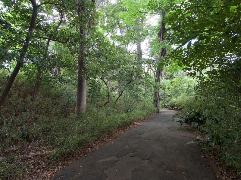File:Shimura4.jpg