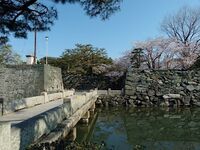 Tokushima13.jpg
