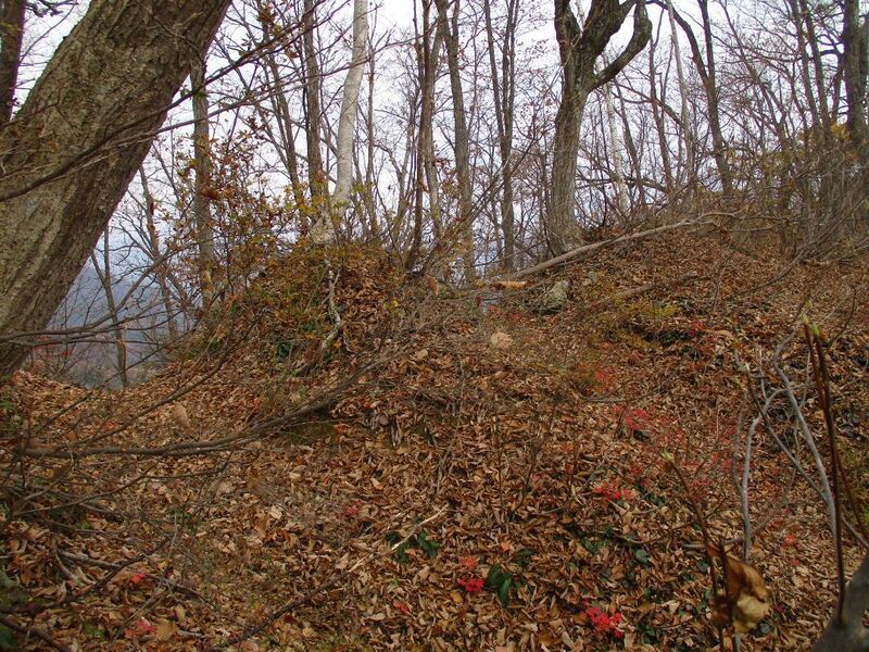 File:AdzumiIidajou (1).jpg
