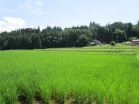 ChikumaKushikijou06.5.JPG