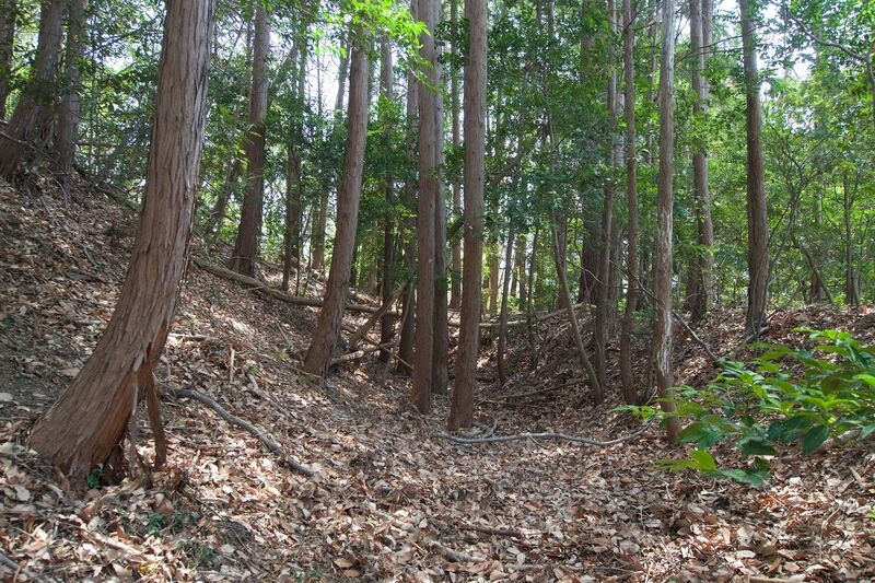 File:Hanazonomitake12.jpg