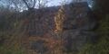 Thumbnail for version as of 17:04, 27 November 2020