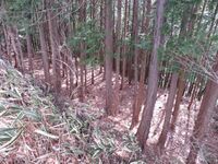 InaSuganumajou (8).JPG