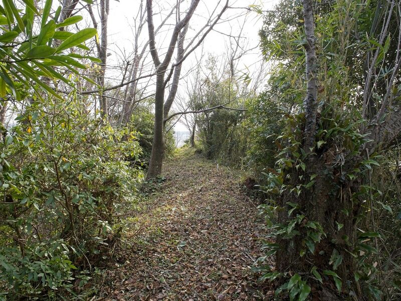 File:Kiikameyama9.jpg