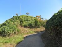 KitaKumai (21).JPG