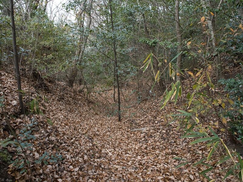File:Kizukyoto7.jpg