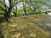 Muramatsujou (3).JPG