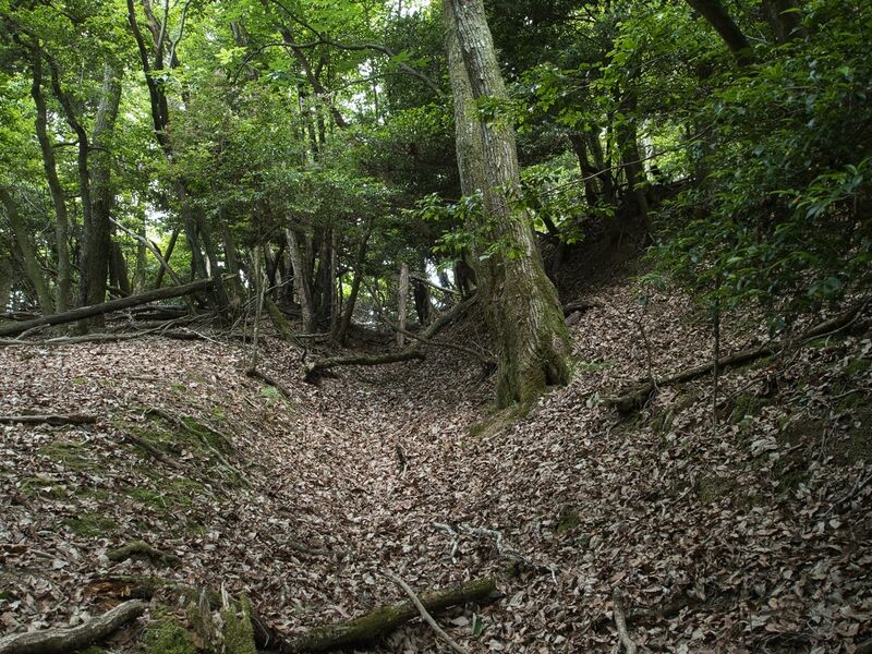 File:Nyoigatake20.jpg