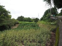 Odawara sogamae10.jpg