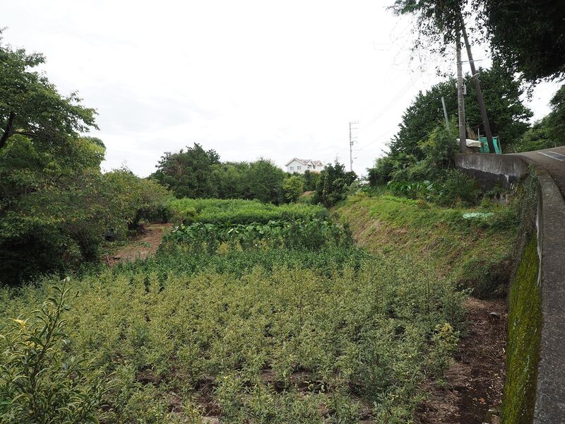 File:Odawara sogamae10.jpg