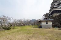 Ozu5.jpg
