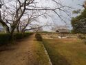 Sasayama35.jpg