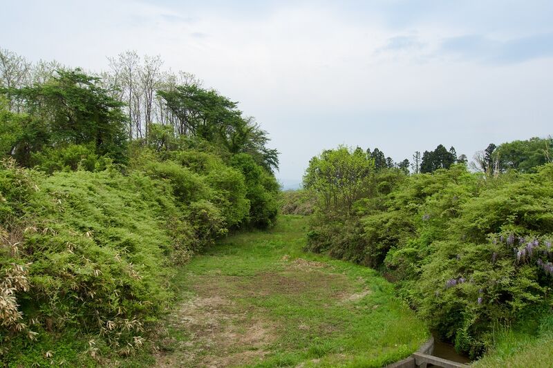 File:Tonomi8.jpg