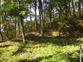 Thumbnail for version as of 14:08, 17 May 2024